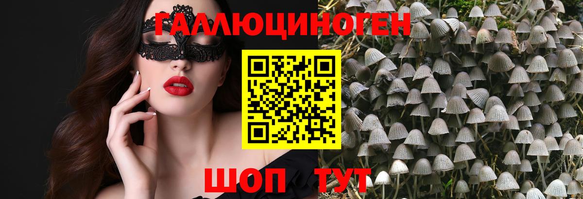 Псилоцибиновые грибы мухоморы Черногорск